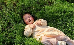 农村乱肉合集乱500小说